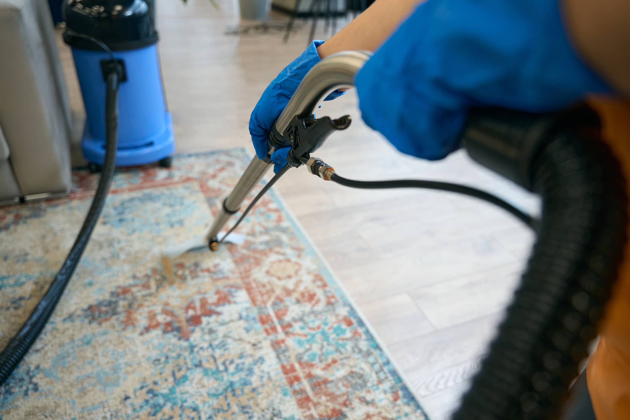 A professional rug cleaner using equipment to clean a rug