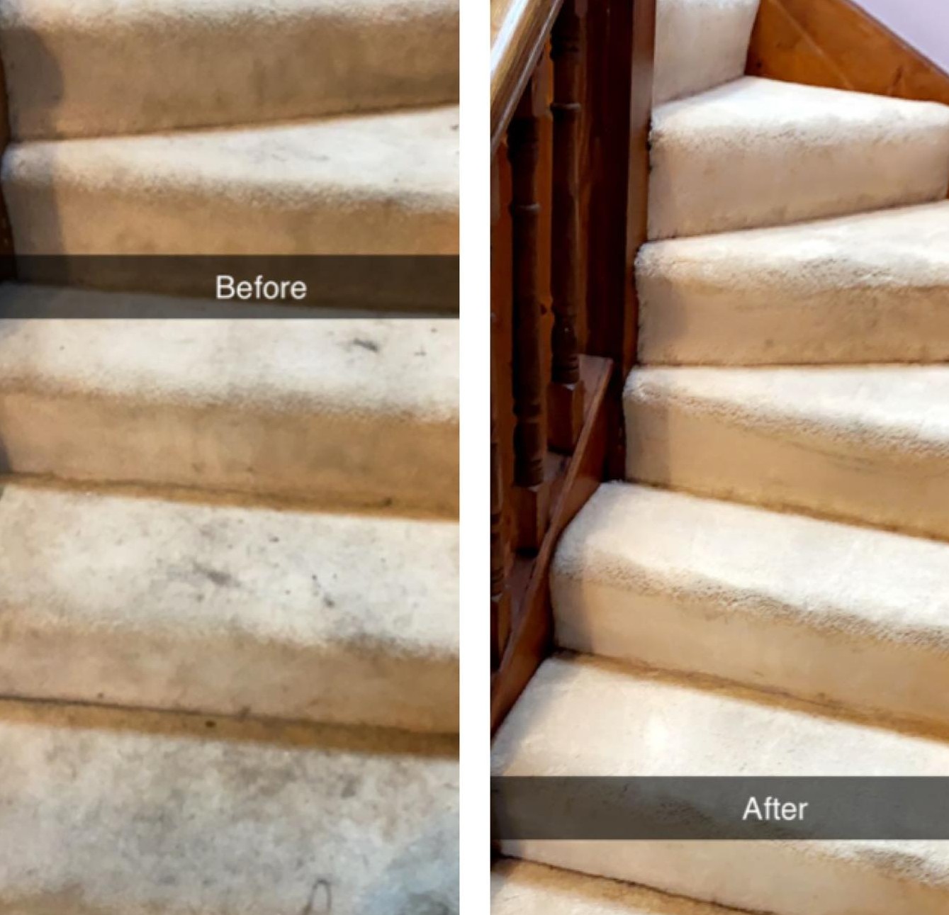 professional carpet cleaning being carried out.