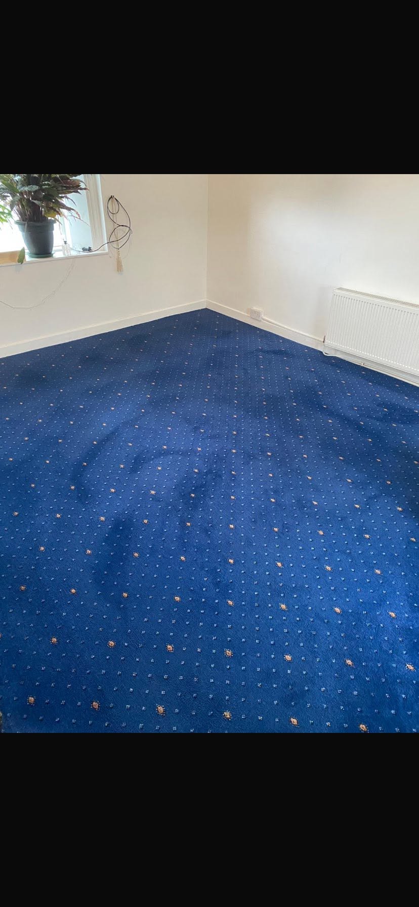 a professional carpet cleaner using equipment to steam clean a carpet in Nenagh Co. Tipperary