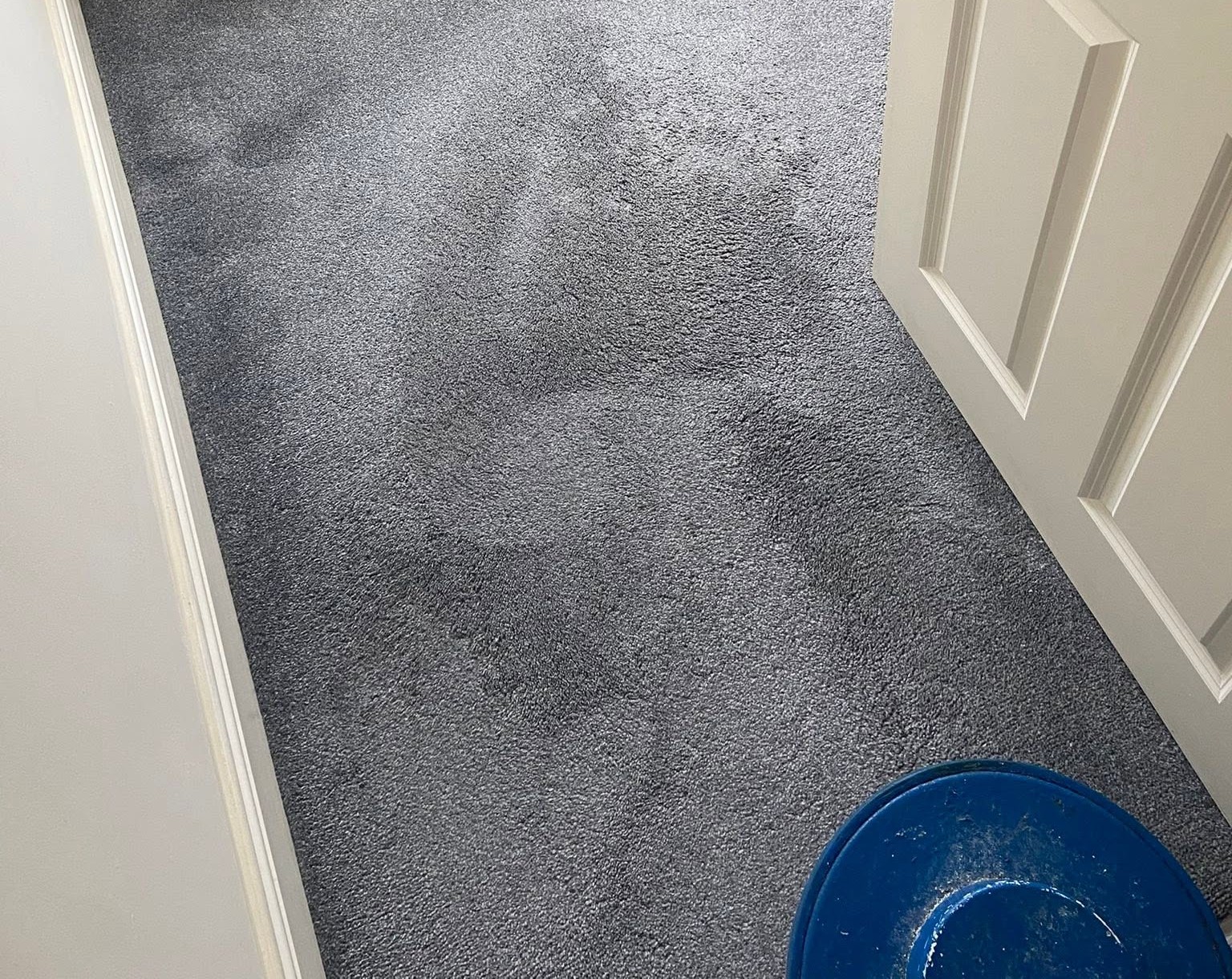 Carpet being buffed and cleaned in Galway with a professional carpet cleaning machine