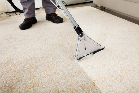 professional carpet cleaning being carried out.