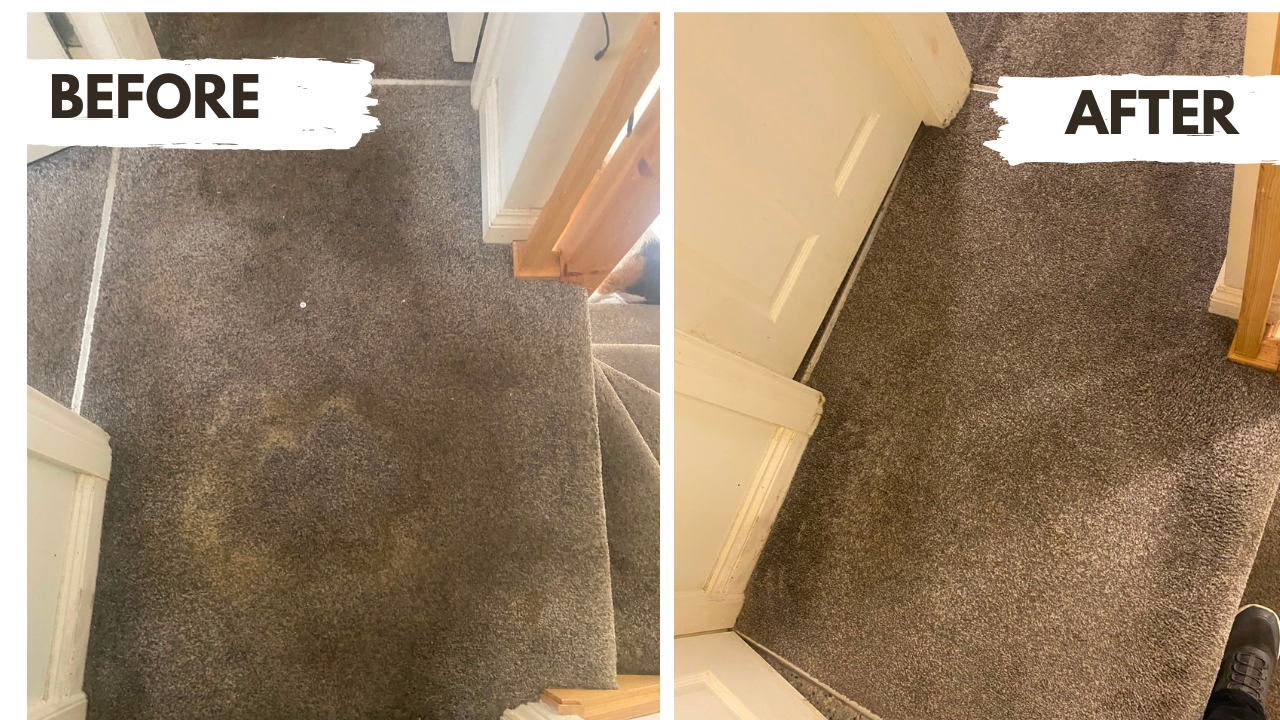  couch being cleaned in Galway using a steam cleaner