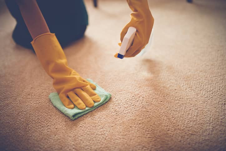 person using a machine to clean a carpet.