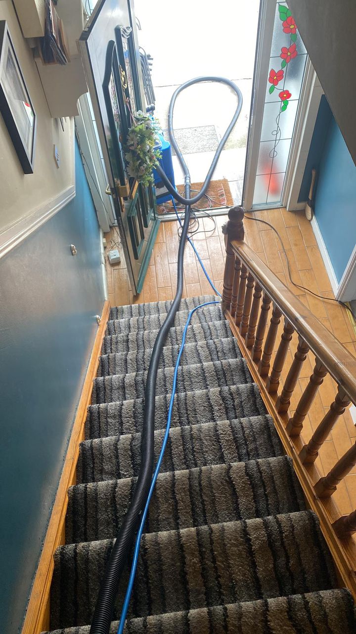image of a stairs and landing carpet being cleaned with cleaning pipes running up it.