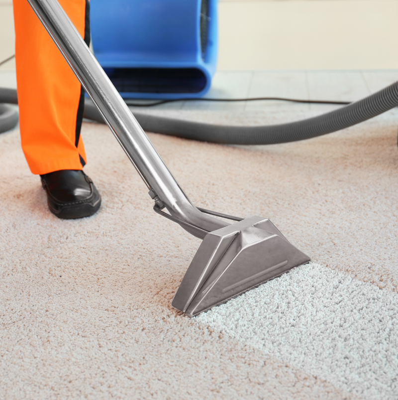 a worker cleaning the carpets in an office